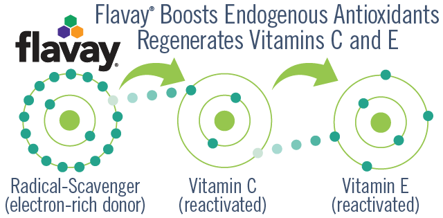 Flavay regenerates the network antioxidant capacity of vitamins C and E. Flavay is a radical-scavenger with 8 active sites. Vitamin C has 1 active site. Vitamin E has 2 active sites. Diagram shows Flavay donating an electron to vitamin C which then may donate an electron to vitamin E.