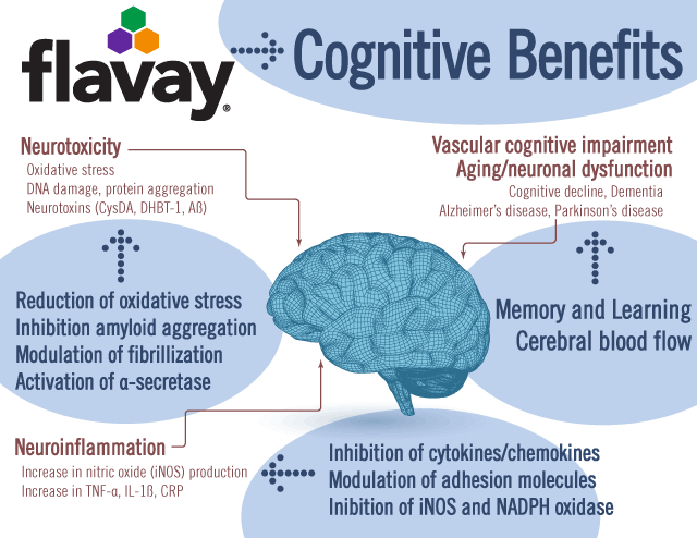 Flavay benefits the brain in multiple ways.