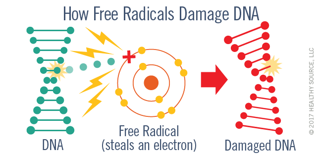 Free radicals damage DNA. Diagram shows free radical steals an electron from DNA and thereby damages DNA.