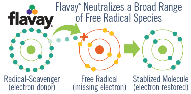Flavay plus a free radical equals a stabilized molecule. Flavay is a radical scavenger and rich electron donor. Free radical is a molecule with a missing electron. Stabilized molecule is now stable because its missing electron is restored. Diagram shows Flavay donating an electron to a free radical to create a stabilized molecule from the free radical.