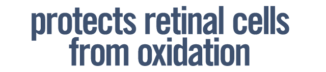 Flavay Protects Retinal Cells from Oxidation