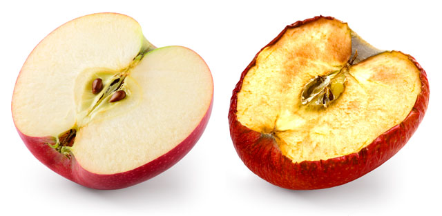 two apple slices, one is beautiful and undamaged by oxidation and the other is ugly and damaged by oxidation.